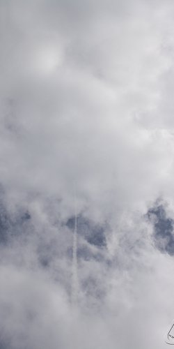 2013 Svojek Mirek Topinka